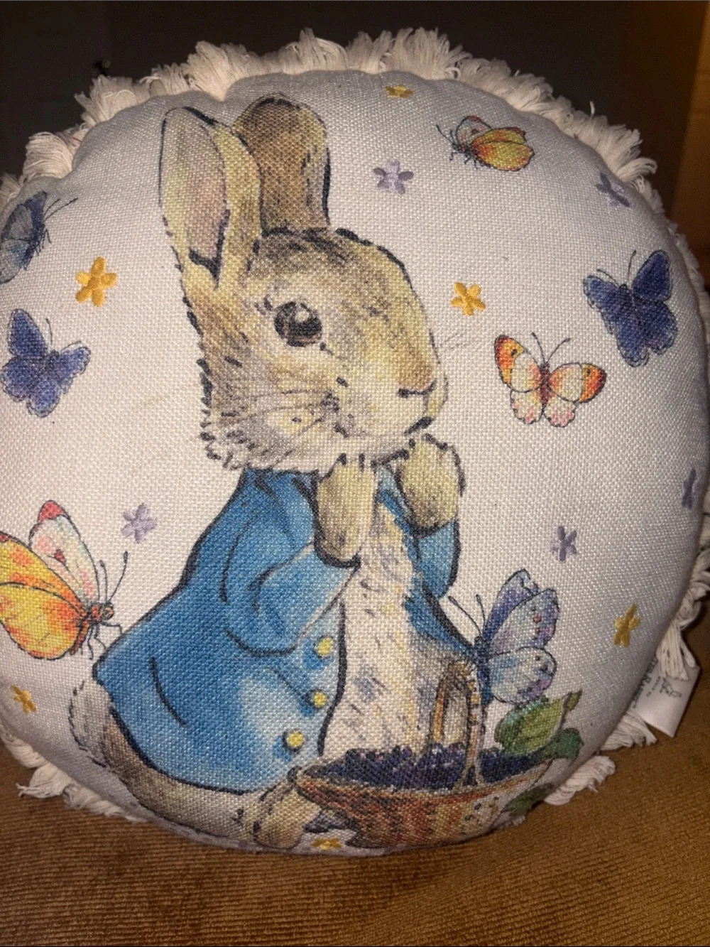 Peter Rabbit Beatrix Potter Decorative Round Throw Pillow 16 in W/Fringe